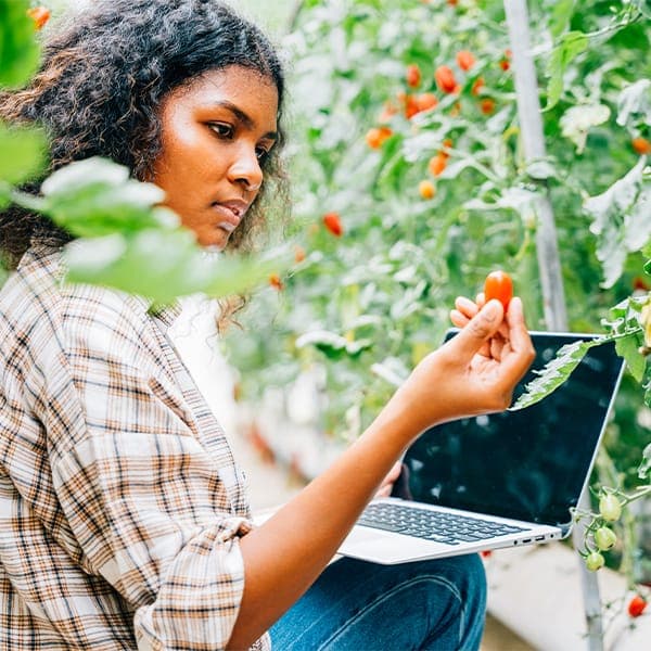Imagem Agronomia com Ênfase em Agricultura de Precisão