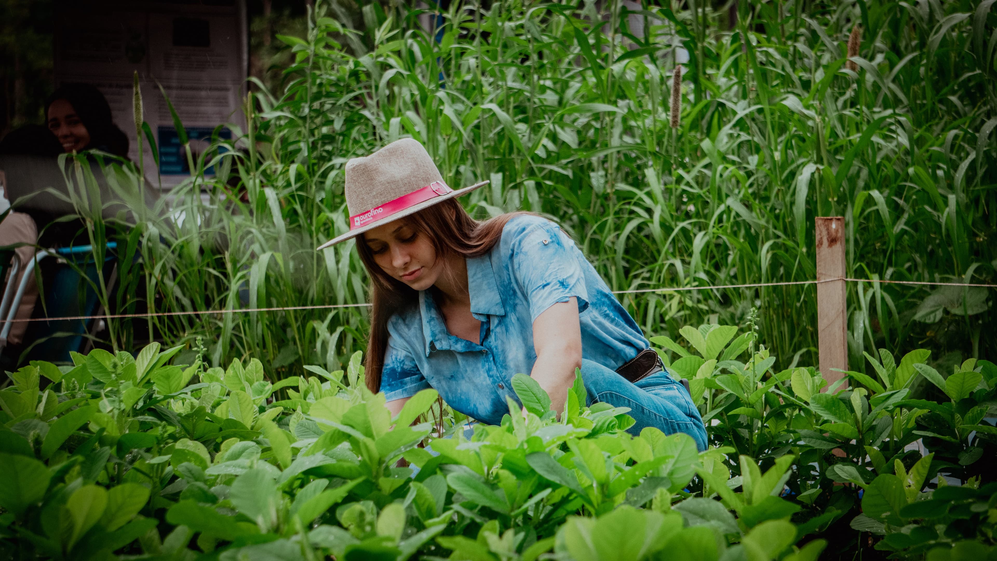 AGROTEC 2025 reforça práticas sustentáveis como eixo da produção agrícola